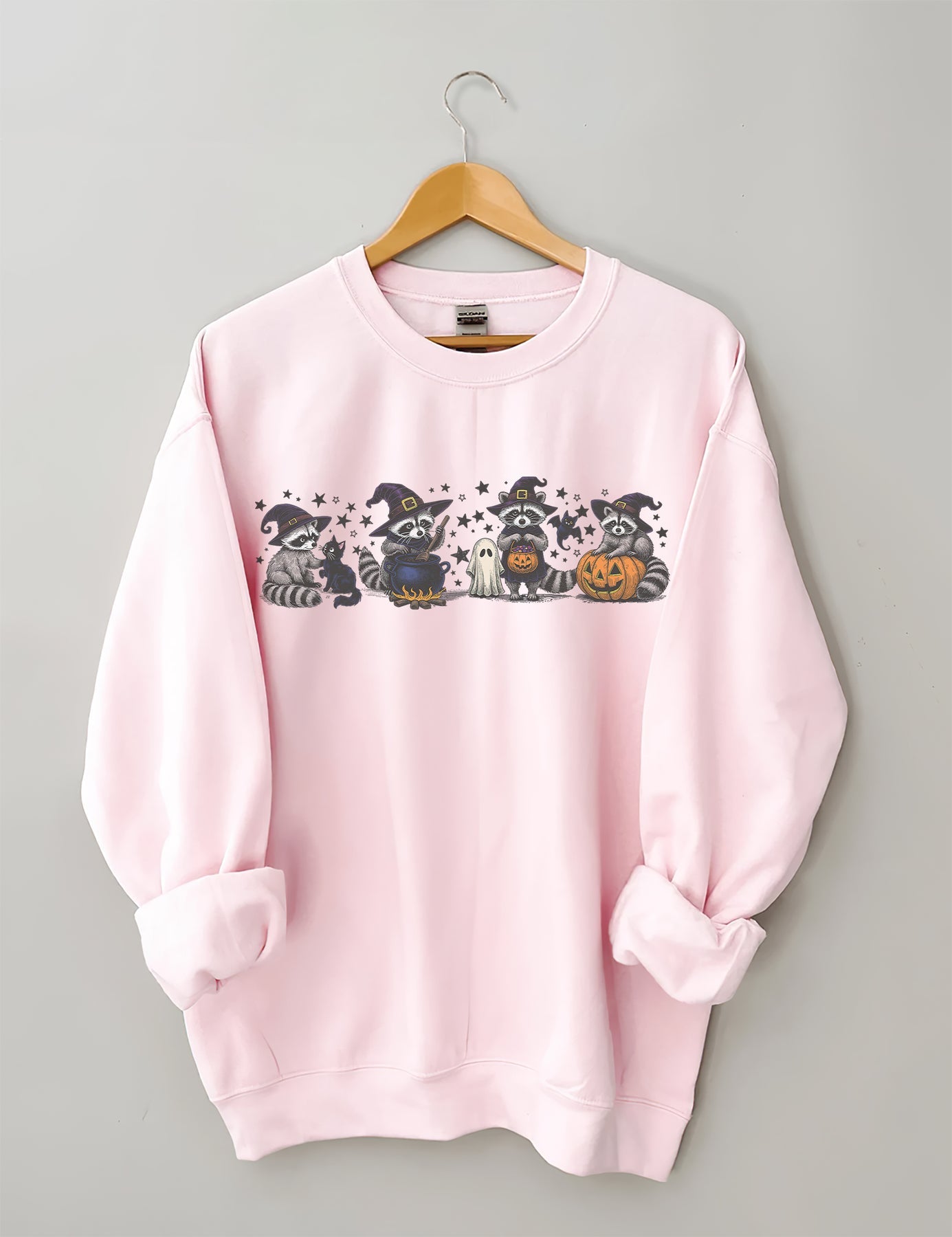 Raccoon Halloween Sweatshirt