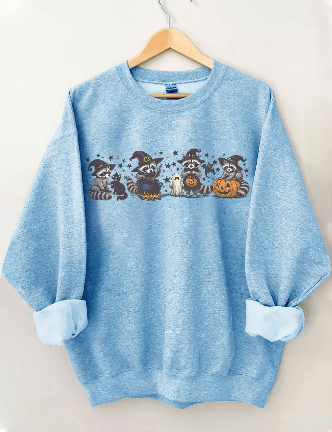 Raccoon Halloween Sweatshirt