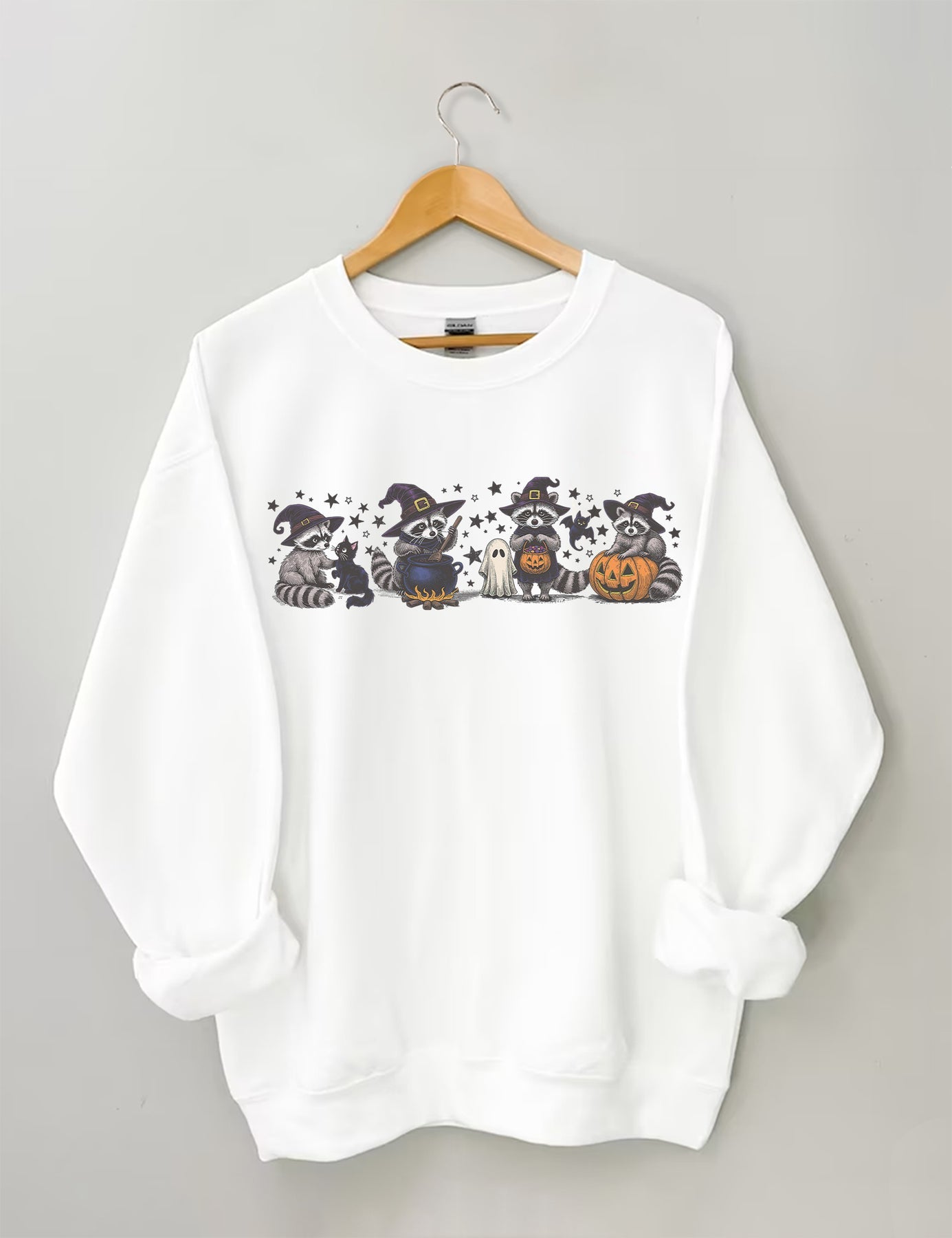 Raccoon Halloween Sweatshirt