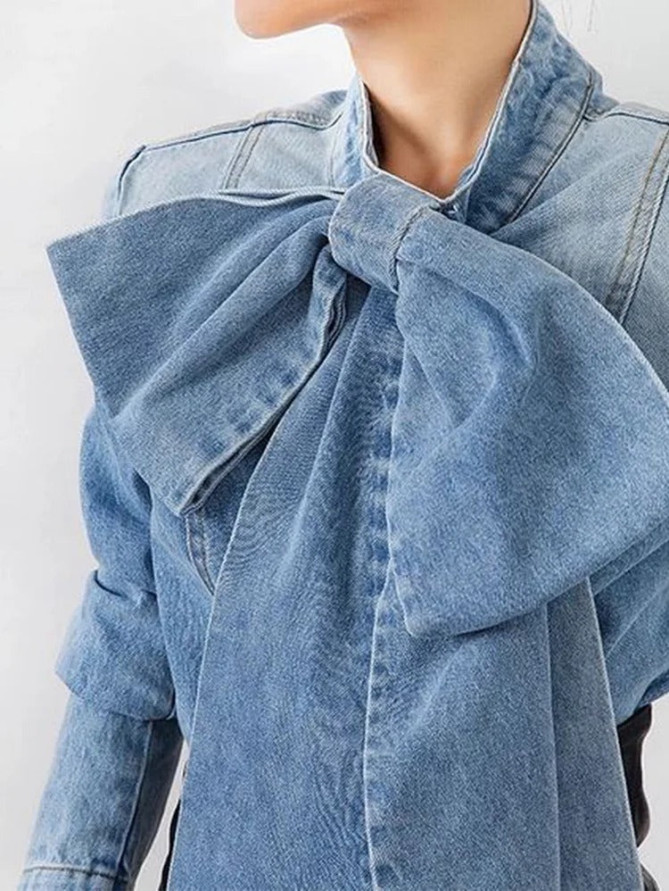 Casual Plain Denim Stand Collar Long Sleeve Bow Blouse