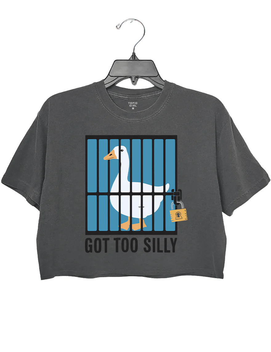 Got Too Silly Crop Top