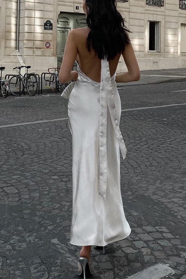 Sexy Backless Halter Neck Long Dress